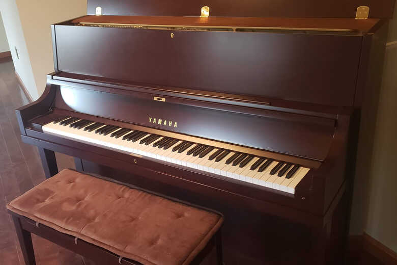 2018 Yamaha P22 Upright 45” Satin Walnut Finish Can Ship Piano for sale